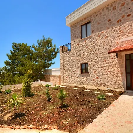 Lavanta * Islamlar (Mediterranean)